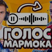 Как Сделать Голос Как У Мармока В Cs Go